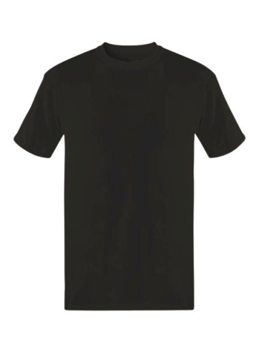 Vivid Hue DTF print shirt blank black