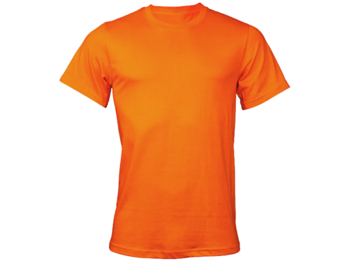 Vivid Hue DTF print shirt blank orange