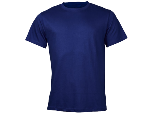 Vivid Hue DTF print shirt blank royal blue