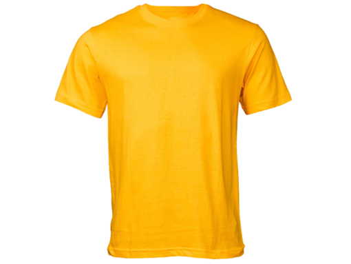 Vivid Hue DTF print shirt blank yellow
