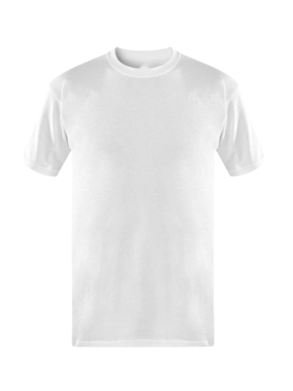 Vivid Hue DTF print shirt blank white
